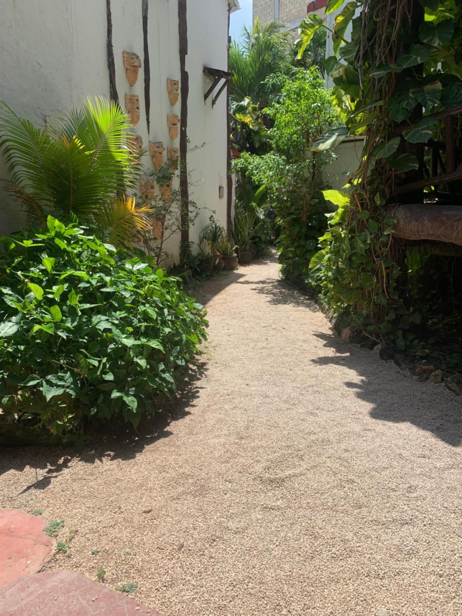 Casa Caribe Cancún Extérieur photo A typical alleyway in Tulum