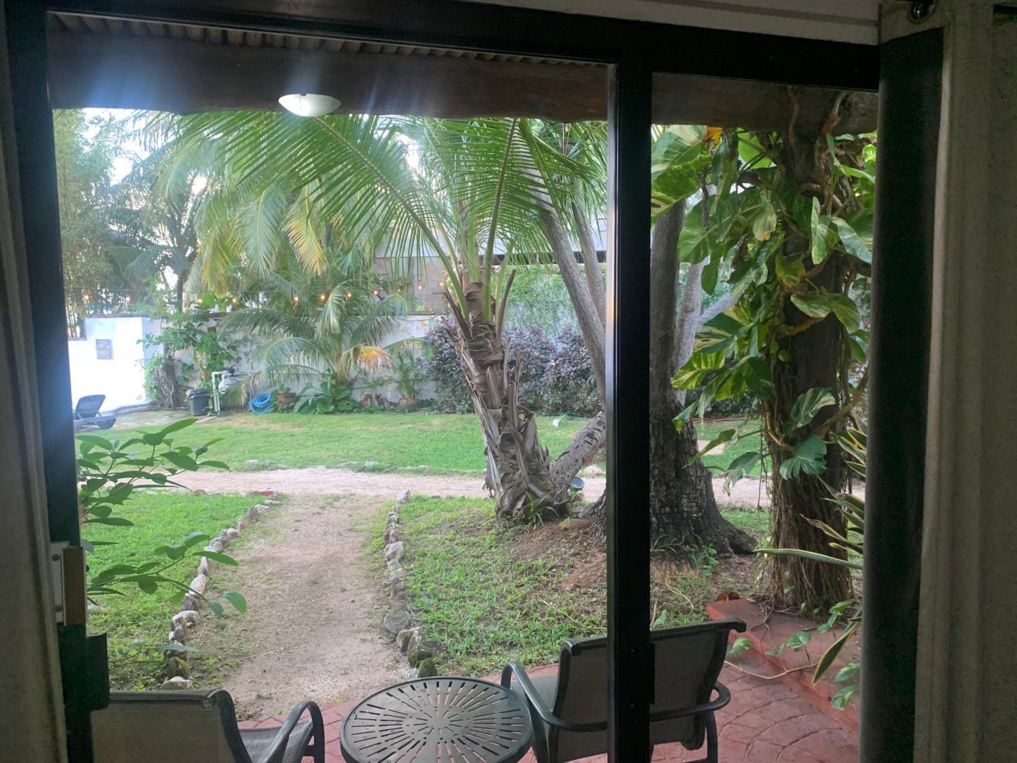 Casa Caribe Cancún Extérieur photo View of the garden from the living room
